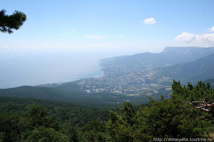 Крымский природный заповедник Ялта, Россия