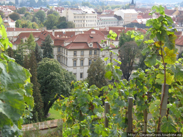 Едим в Прагу :))) Прага, Чехия