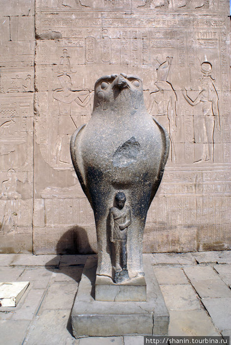 Статуя бога Гора у входа в храм в Эдфу Провинция Асуан, Египет