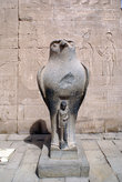 Статуя бога Гора у входа в храм в Эдфу