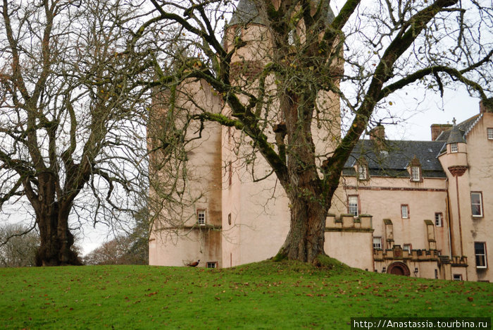 Замок Фиви - замок с фазанами Абердин, Великобритания