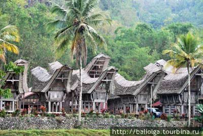 традиционные дома Тораджи — «тонгконаны» Сулавеси, Индонезия