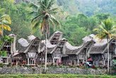 традиционные дома Тораджи — «тонгконаны»