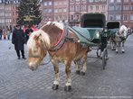 Варшавская лошадка