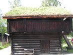 Дом с травой на крыше