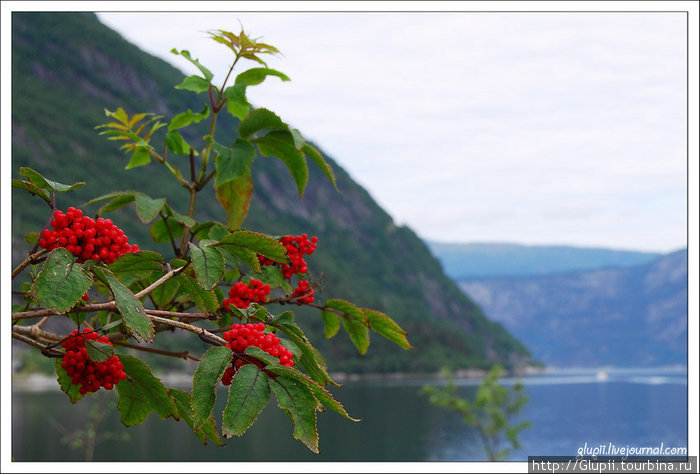 Эйдфьорд (Eidfjord). Норвегия
