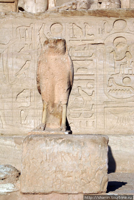 Птица — символ древнеегипетского бога Гора Абу-Симбел, Египет