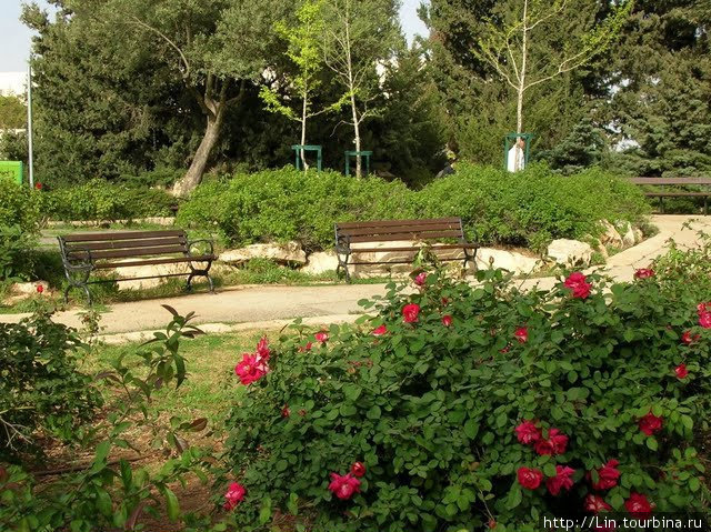 От парламента до Верховного Суда, через сад роз Иерусалим, Израиль