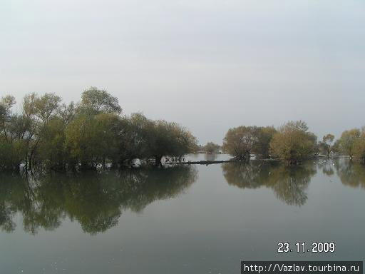 Похоже, озеро малость  вышло из берегов Шкодер, Албания