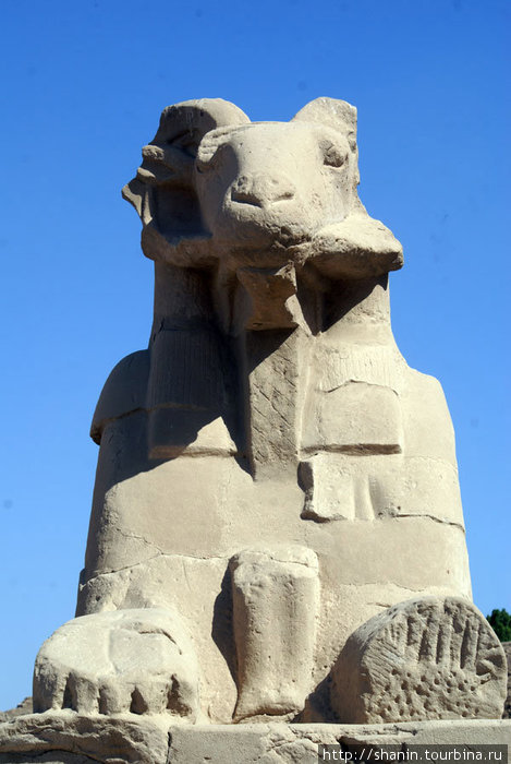 Священный баран Луксор, Египет