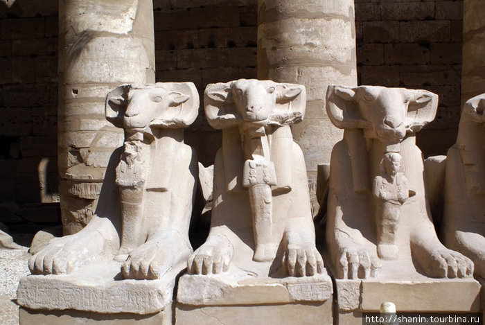 Каменные бараны  колонн Луксор, Египет