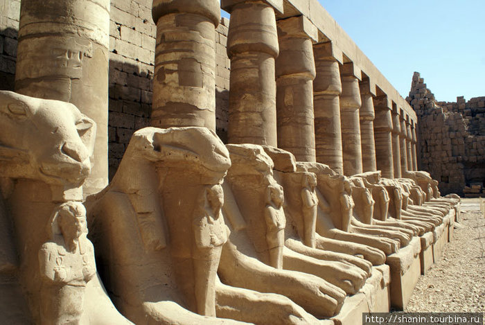 В первом внутреннем дворе Карнакского храмового комплекса Луксор, Египет