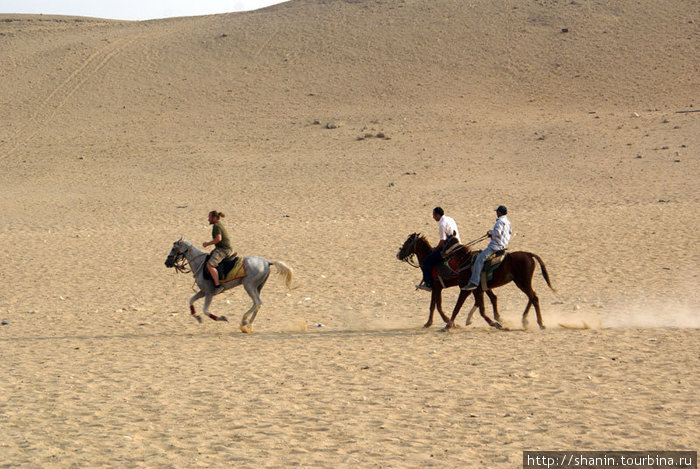 Всадники в пустыне Гиза, Египет