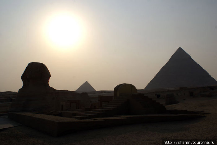 Сфинкс и пирамиды под солнцем пустыни Гиза, Египет