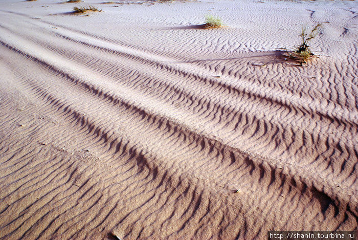 Необычный цвет песка в пустыне Вади-Рум Пустыня Вади Рам, Иордания