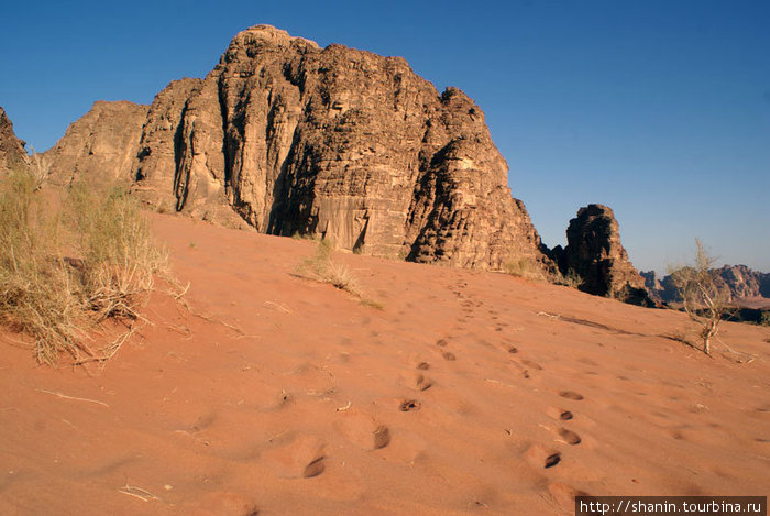 Следы на красном песке Пустыня Вади Рам, Иордания