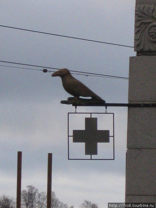 Птица при аптеке Хельсинки, Финляндия