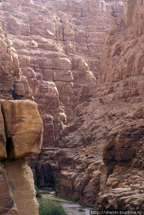 В каньоне Вади Муджеб Провинция Карак, Иордания
