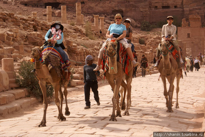 Туристы на верблюдах Петра, Иордания