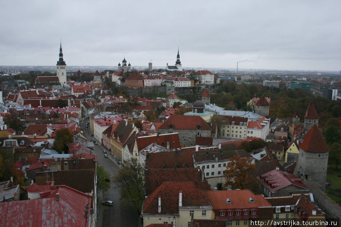 панорама Таллина с церкви Олевисте Эстония