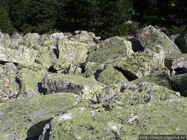 Камни сплошь покрыты лишайниками Златоуст, Россия