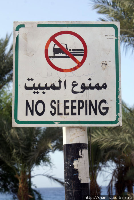 Не спать! На набережной Акабы Акаба, Иордания