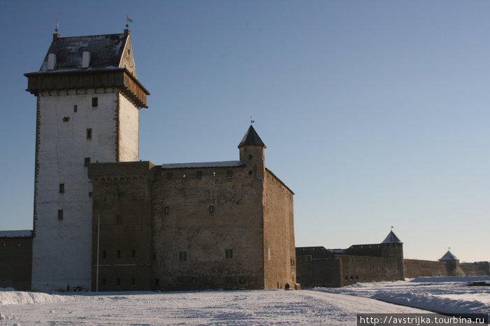 Нарвский замок зимой Нарва, Эстония