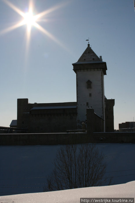 Нарвский замок и солнце-звезда Нарва, Эстония