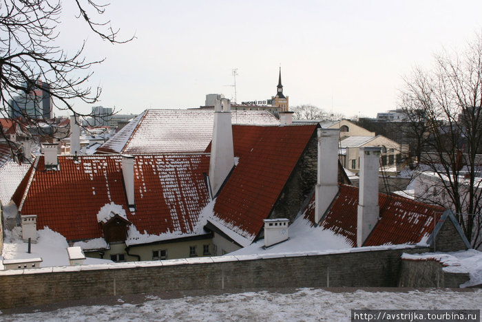 крыши Старого Таллина Таллин, Эстония