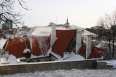 крыши Старого Таллина