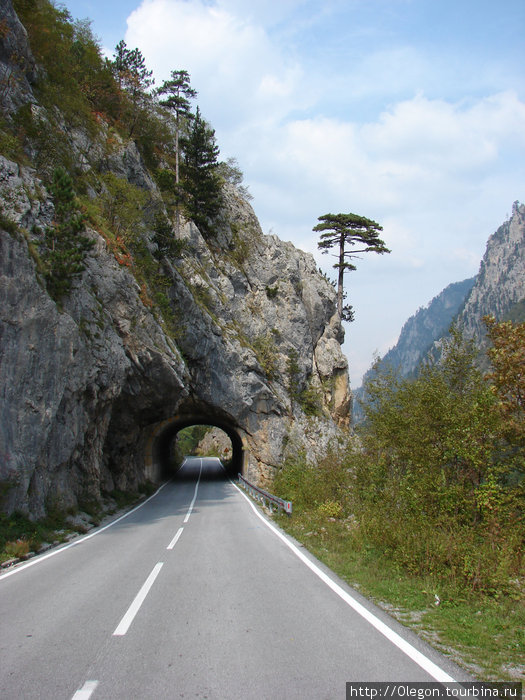 Дорога с многочисленными тунелями Черногория