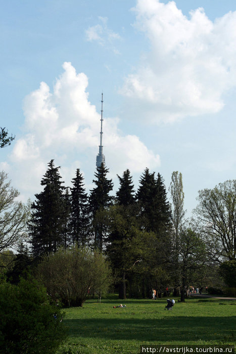 из Ботанического сада видно Останкинскую башню Москва, Россия