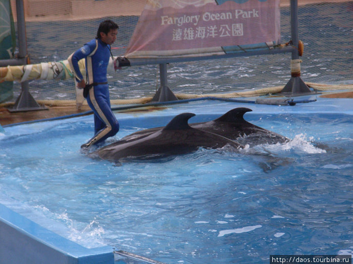 Диснейленд с дельфинами: Хуаляньский Океан-парк Уезд Хуалянь, Тайвань