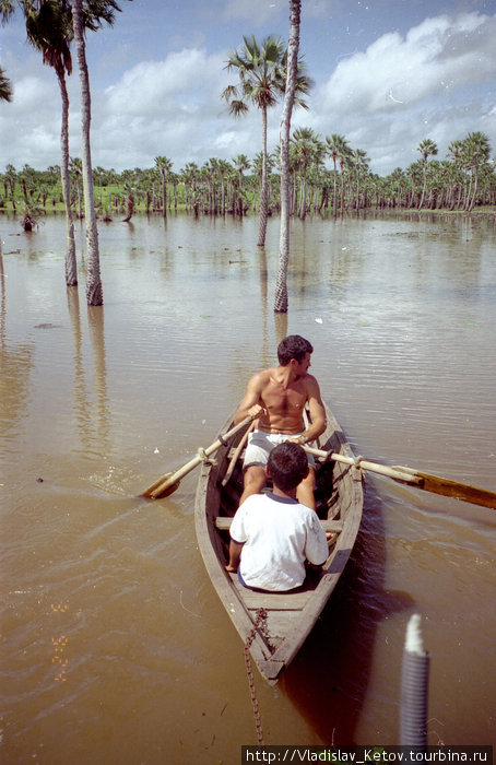 Плывём на лодках через затопленный лес. Бразилия