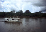 На пароходе идём по дельте Амазонки.