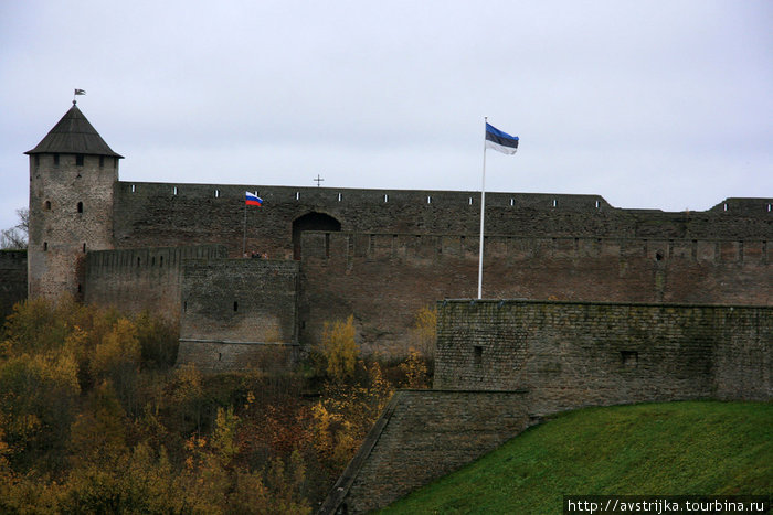 дружественные флаги Нарва, Эстония