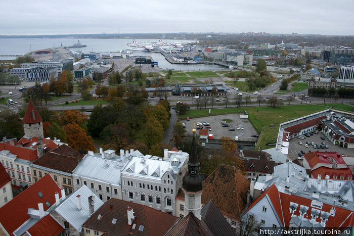 порт Таллин, Эстония