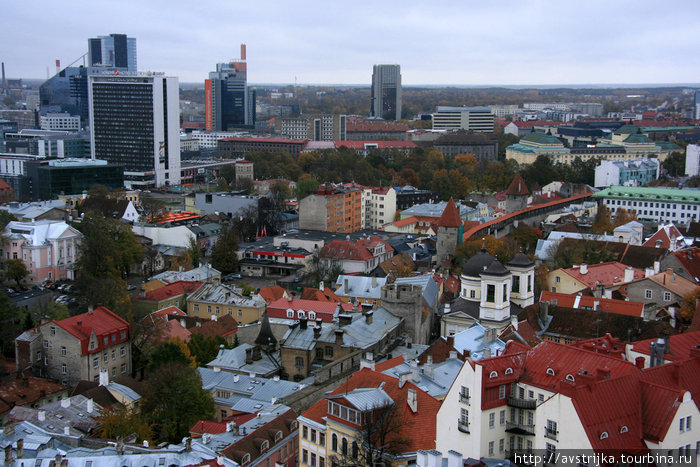 вдалеке современные крыши Таллин, Эстония