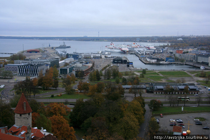 порт Таллин, Эстония