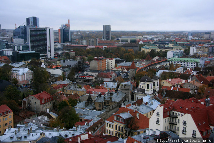 старые и современные Таллин, Эстония