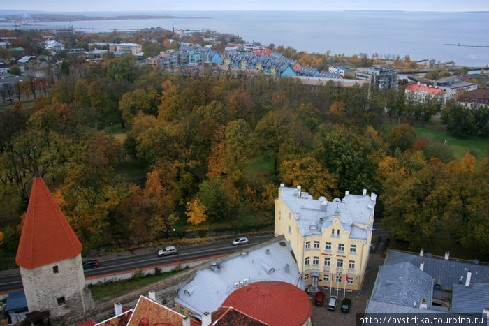 морееее Таллин, Эстония