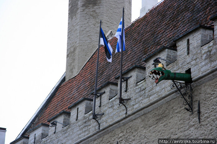 дракон Таллин, Эстония