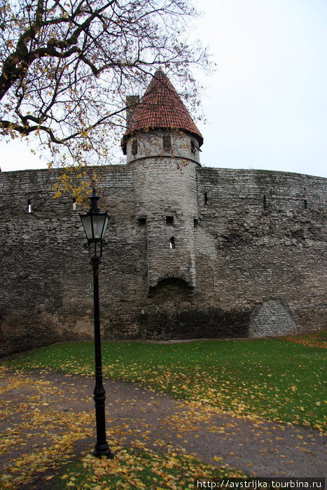 башенка Таллин, Эстония