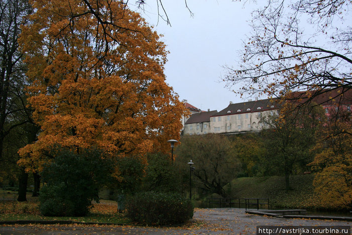 осень в Таллине Таллин, Эстония