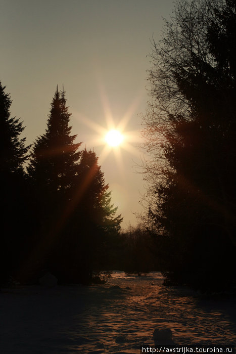 мороз и солнце Таллин, Эстония