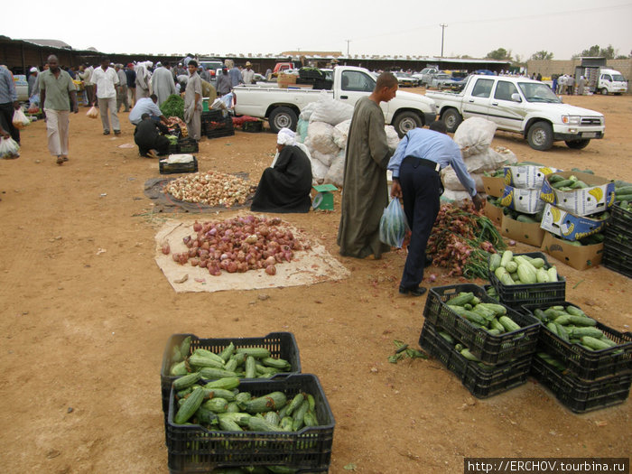 Колоритный базар города Джермы Ливия