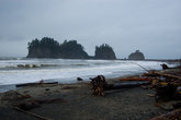 Сам пляж усыпан деревьями, которые все тот же океан в свое время вырвал с корнями.