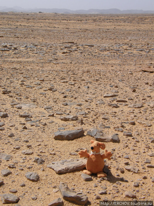 Каменистая пустыня хамада