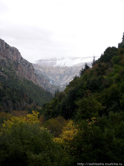 В горах Ливана, в священной долине Кадеша Долина Кадиша, Ливан