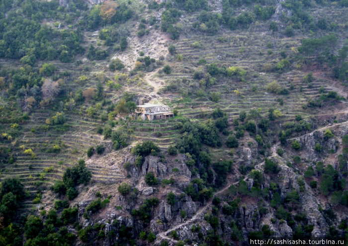 Склоны вокруг домов вырублены террасами для земледелия Долина Кадиша, Ливан